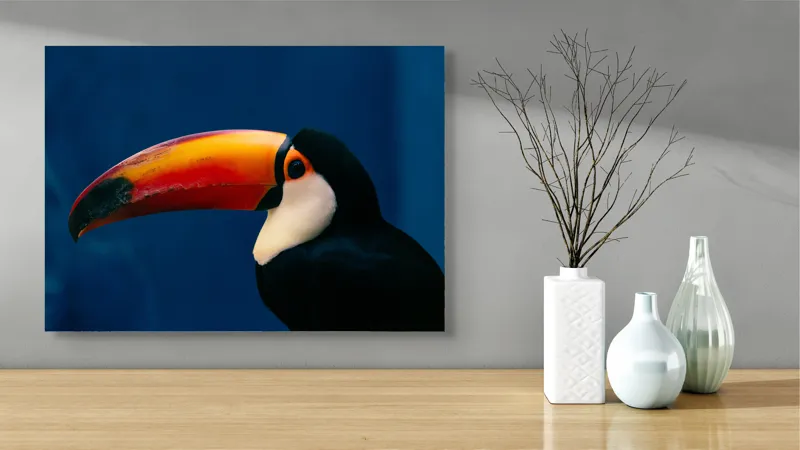 Tablou Canvas, "Pasărea cu cioc curcubeu impresionant", Colorat, Elegant, Exuberant, Vibrant, Exotic, Contrastant, Impresionant, 70 x 50 cm – poza 3