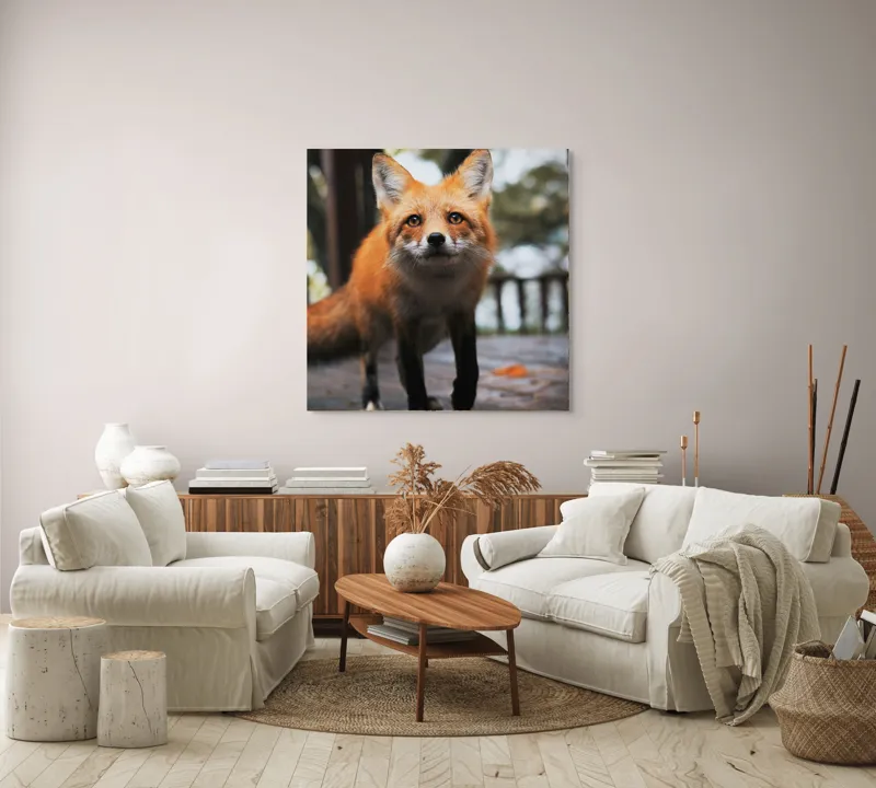 Tablou Canvas, "Vulpea curioasă păşeşte agale", Roșcată, Jucăușă, Curioasă, Elegantă, Naturală, Fermecătoare, Alergătoare, Păduratică., 100 x 100 cm – poza 3