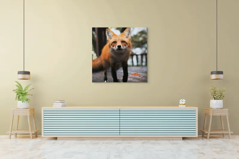 Tablou Canvas, "Vulpea curioasă păşeşte agale", Roșcată, Jucăușă, Curioasă, Elegantă, Naturală, Fermecătoare, Alergătoare, Păduratică., 100 x 100 cm – poza 5