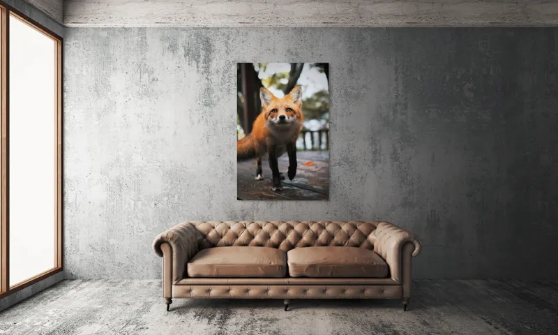 Tablou Canvas, "Vulpea curioasă păşeşte agale", Roșcată, Jucăușă, Curioasă, Elegantă, Naturală, Fermecătoare, Alergătoare, Păduratică., 100 x 150 cm – poza 6