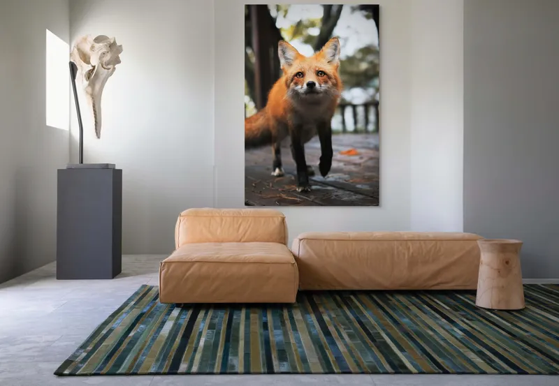 Tablou Canvas, "Vulpea curioasă păşeşte agale", Roșcată, Jucăușă, Curioasă, Elegantă, Naturală, Fermecătoare, Alergătoare, Păduratică., 100 x 150 cm – poza 7