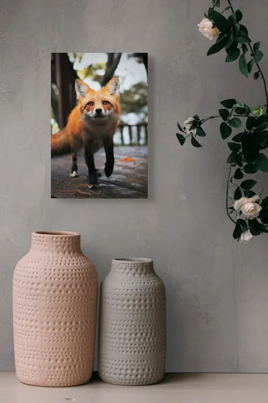 Tablou Canvas, "Vulpea curioasă păşeşte agale", Roșcată, Jucăușă, Curioasă, Elegantă, Naturală, Fermecătoare, Alergătoare, Păduratică., 26 x 39 cm – poza 6