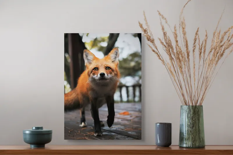 Tablou Canvas, "Vulpea curioasă păşeşte agale", Roșcată, Jucăușă, Curioasă, Elegantă, Naturală, Fermecătoare, Alergătoare, Păduratică., 39 x 54 cm – poza 3