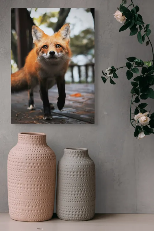Tablou Canvas, "Vulpea curioasă păşeşte agale", Roșcată, Jucăușă, Curioasă, Elegantă, Naturală, Fermecătoare, Alergătoare, Păduratică., 39 x 54 cm – poza 6