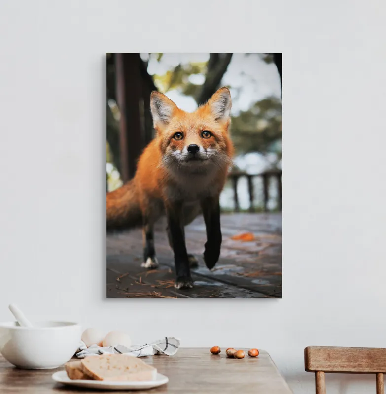 Tablou Canvas, "Vulpea curioasă păşeşte agale", Roșcată, Jucăușă, Curioasă, Elegantă, Naturală, Fermecătoare, Alergătoare, Păduratică., 50 x 70 cm – poza 3
