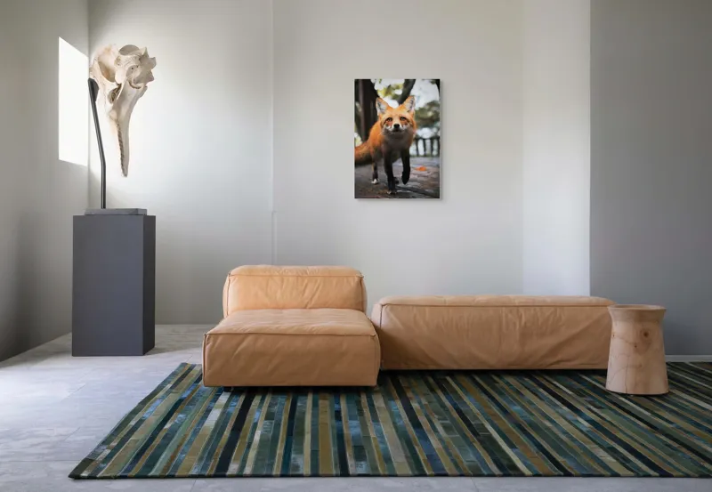 Tablou Canvas, "Vulpea curioasă păşeşte agale", Roșcată, Jucăușă, Curioasă, Elegantă, Naturală, Fermecătoare, Alergătoare, Păduratică., 50 x 70 cm – poza 7