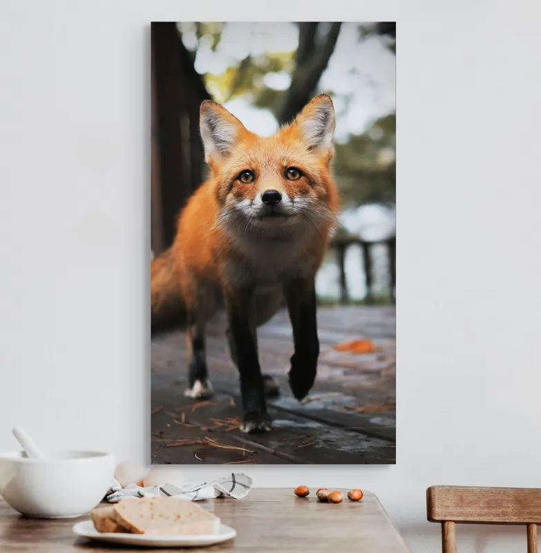 Tablou Canvas, "Vulpea curioasă păşeşte agale", Roșcată, Jucăușă, Curioasă, Elegantă, Naturală, Fermecătoare, Alergătoare, Păduratică., 50 x 90 cm – poza 3