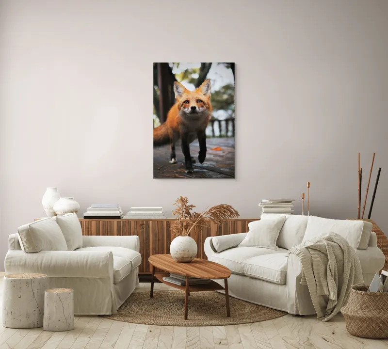 Tablou Canvas, "Vulpea curioasă păşeşte agale", Roșcată, Jucăușă, Curioasă, Elegantă, Naturală, Fermecătoare, Alergătoare, Păduratică., 70 x 100 cm – poza 4
