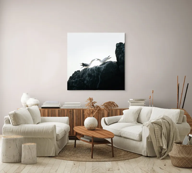 Tablou Canvas, "Dansul păsărilor pe stânci mărețe", Păsări, Stânci, Cer, Zbor, Lumină, Natură, Vedere, Frumusețe., 100 x 100 cm – poza 3