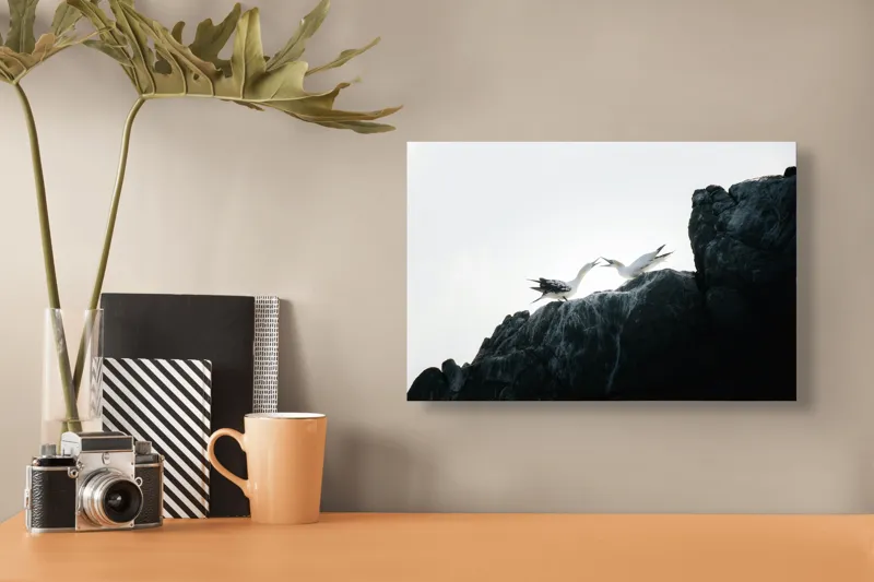Tablou Canvas, "Dansul păsărilor pe stânci mărețe", Păsări, Stânci, Cer, Zbor, Lumină, Natură, Vedere, Frumusețe., 39 x 26 cm – poza 3