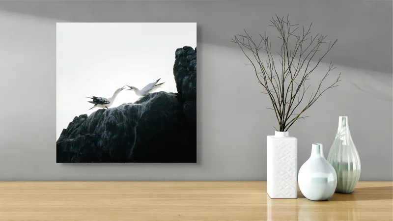 Tablou Canvas, "Dansul păsărilor pe stânci mărețe", Păsări, Stânci, Cer, Zbor, Lumină, Natură, Vedere, Frumusețe., 50 x 50 cm – poza 3