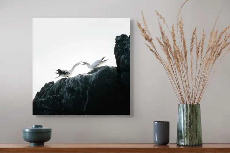 Tablou Canvas, "Dansul păsărilor pe stânci mărețe", Păsări, Stânci, Cer, Zbor, Lumină, Natură, Vedere, Frumusețe., 50 x 50 cm – poza 4