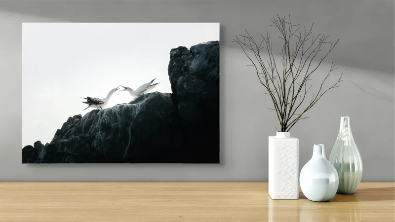 Tablou Canvas, "Dansul păsărilor pe stânci mărețe", Păsări, Stânci, Cer, Zbor, Lumină, Natură, Vedere, Frumusețe., 70 x 50 cm – poza 3