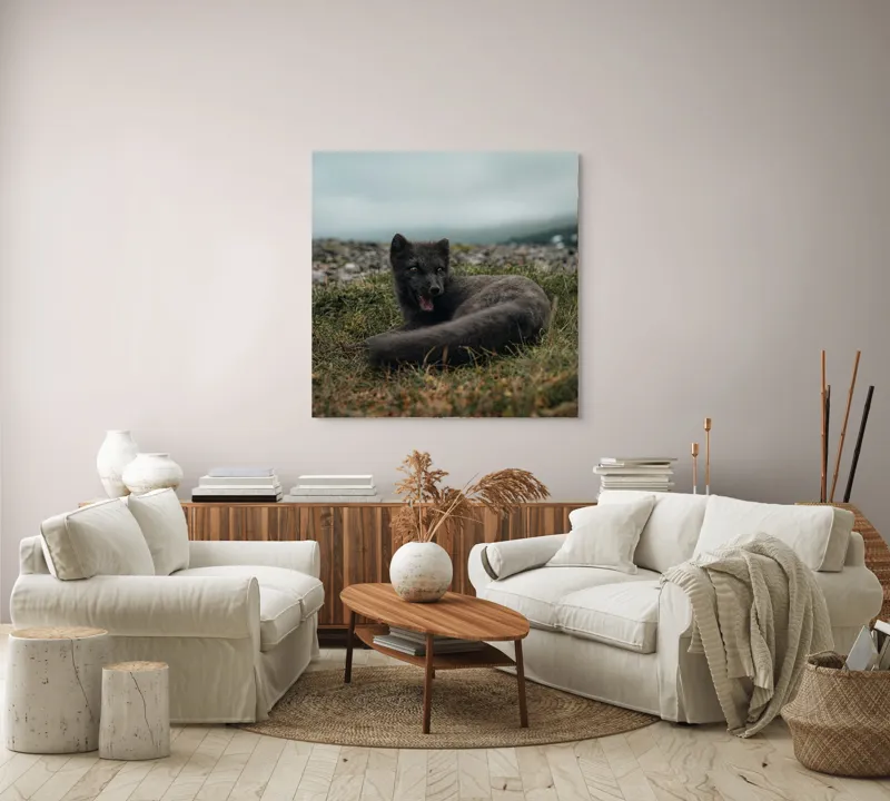 Tablou Canvas, "Vulpea arctică odihnindu-se pe pajiște", Vulpe, Nordic, Gri, Iarbă, Piatre, Cer, Noros, Expresivă, 100 x 100 cm – poza 3
