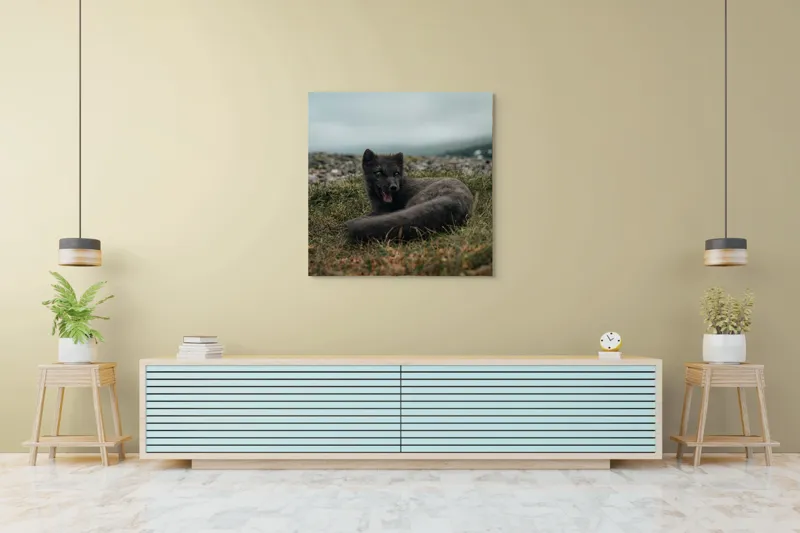 Tablou Canvas, "Vulpea arctică odihnindu-se pe pajiște", Vulpe, Nordic, Gri, Iarbă, Piatre, Cer, Noros, Expresivă, 100 x 100 cm – poza 5