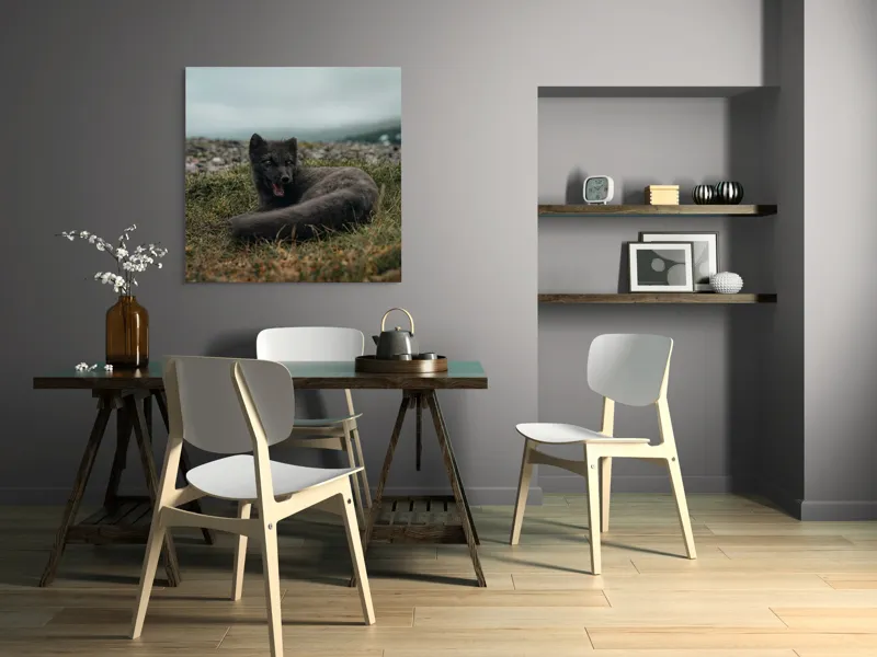 Tablou Canvas, "Vulpea arctică odihnindu-se pe pajiște", Vulpe, Nordic, Gri, Iarbă, Piatre, Cer, Noros, Expresivă, 100 x 100 cm – poza 6
