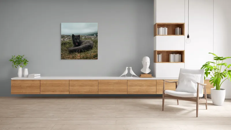 Tablou Canvas, "Vulpea arctică odihnindu-se pe pajiște", Vulpe, Nordic, Gri, Iarbă, Piatre, Cer, Noros, Expresivă, 100 x 100 cm – poza 8