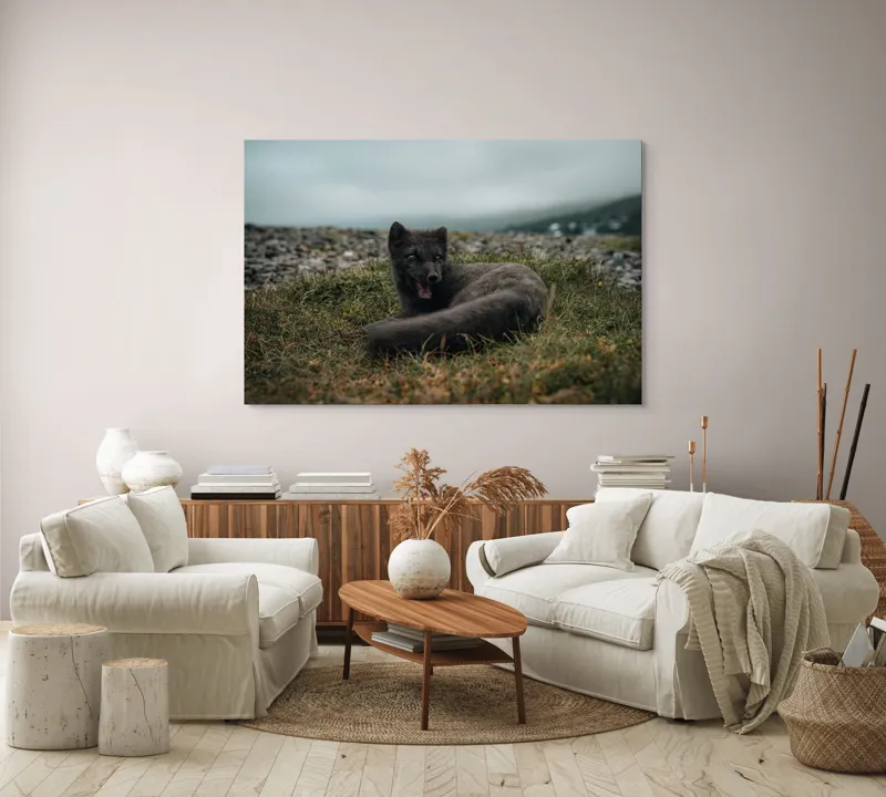 Tablou Canvas, "Vulpea arctică odihnindu-se pe pajiște", Vulpe, Nordic, Gri, Iarbă, Piatre, Cer, Noros, Expresivă, 150 x 100 cm – poza 3