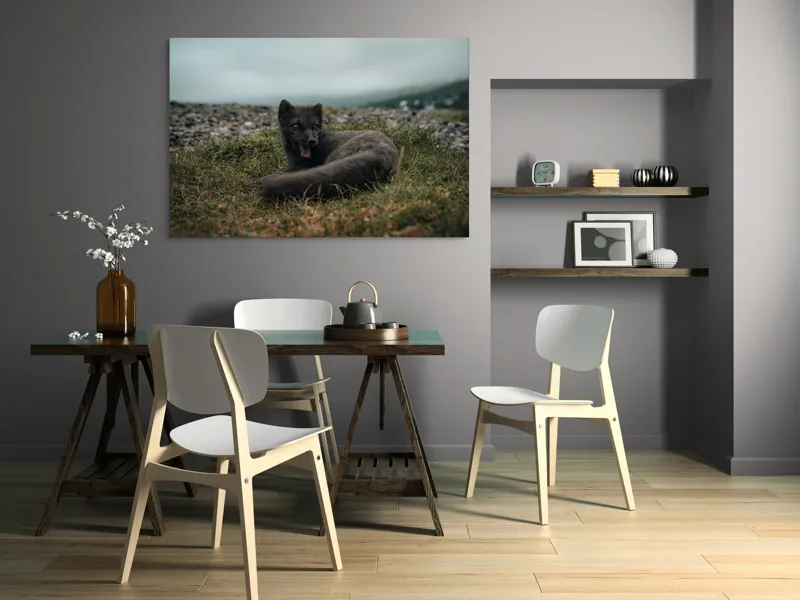 Tablou Canvas, "Vulpea arctică odihnindu-se pe pajiște", Vulpe, Nordic, Gri, Iarbă, Piatre, Cer, Noros, Expresivă, 150 x 100 cm – poza 5