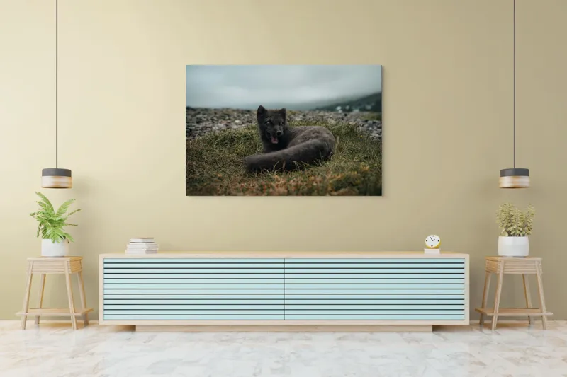 Tablou Canvas, "Vulpea arctică odihnindu-se pe pajiște", Vulpe, Nordic, Gri, Iarbă, Piatre, Cer, Noros, Expresivă, 150 x 100 cm – poza 6