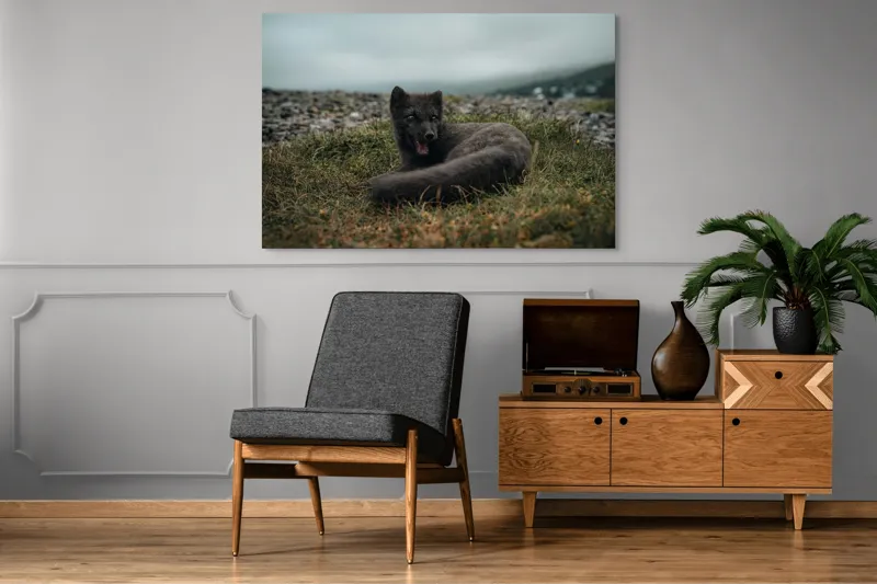 Tablou Canvas, "Vulpea arctică odihnindu-se pe pajiște", Vulpe, Nordic, Gri, Iarbă, Piatre, Cer, Noros, Expresivă, 150 x 100 cm – poza 8