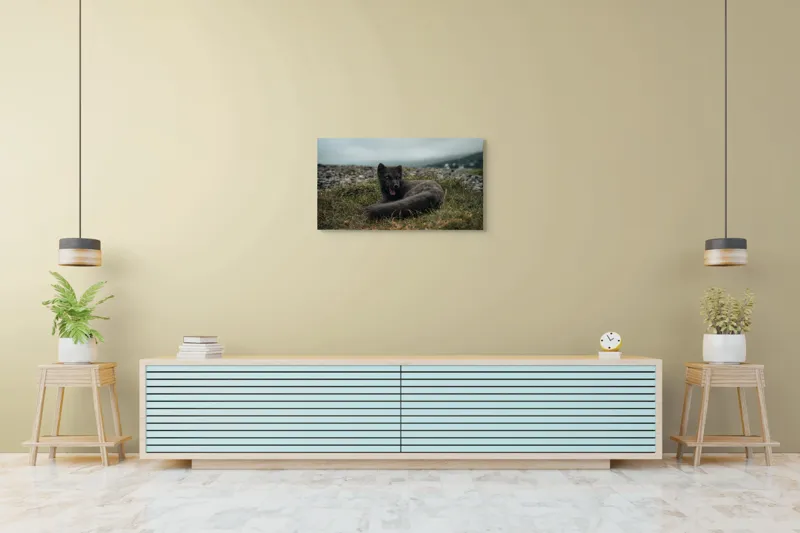 Tablou Canvas, "Vulpea arctică odihnindu-se pe pajiște", Vulpe, Nordic, Gri, Iarbă, Piatre, Cer, Noros, Expresivă, 90 x 50 cm – poza 5