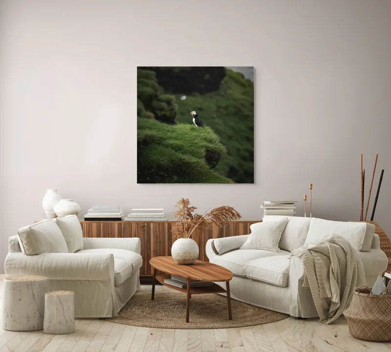 Tablou Canvas, "Papagalul de mare pe stâncă verde", Pufin, Stânci, Verdeață, Solitudine, Natură, Ocean, Serenitate, Sălbăticie, 100 x 100 cm – poza 3