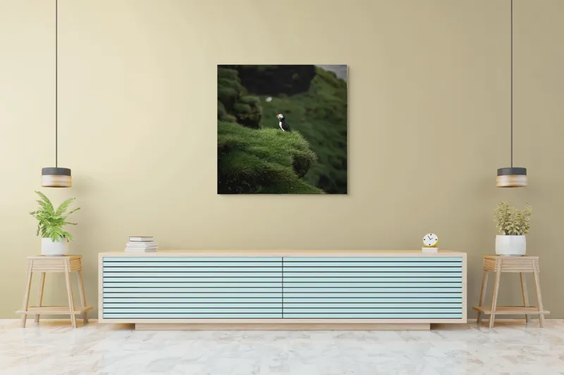 Tablou Canvas, "Papagalul de mare pe stâncă verde", Pufin, Stânci, Verdeață, Solitudine, Natură, Ocean, Serenitate, Sălbăticie, 100 x 100 cm – poza 5