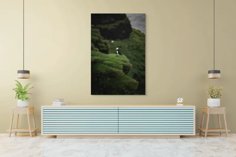Tablou Canvas, "Papagalul de mare pe stâncă verde", Pufin, Stânci, Verdeață, Solitudine, Natură, Ocean, Serenitate, Sălbăticie, 100 x 150 cm – poza 4
