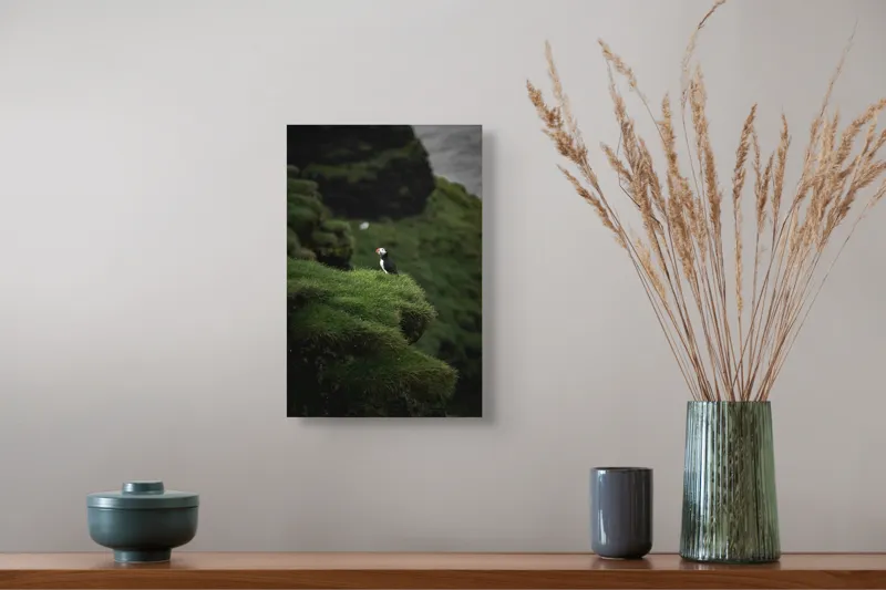 Tablou Canvas, "Papagalul de mare pe stâncă verde", Pufin, Stânci, Verdeață, Solitudine, Natură, Ocean, Serenitate, Sălbăticie, 26 x 39 cm – poza 5