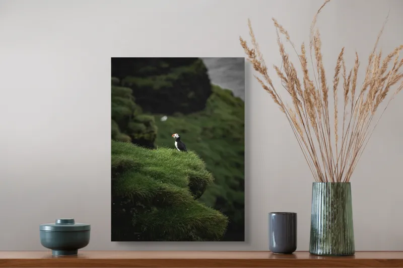 Tablou Canvas, "Papagalul de mare pe stâncă verde", Pufin, Stânci, Verdeață, Solitudine, Natură, Ocean, Serenitate, Sălbăticie, 39 x 54 cm – poza 3