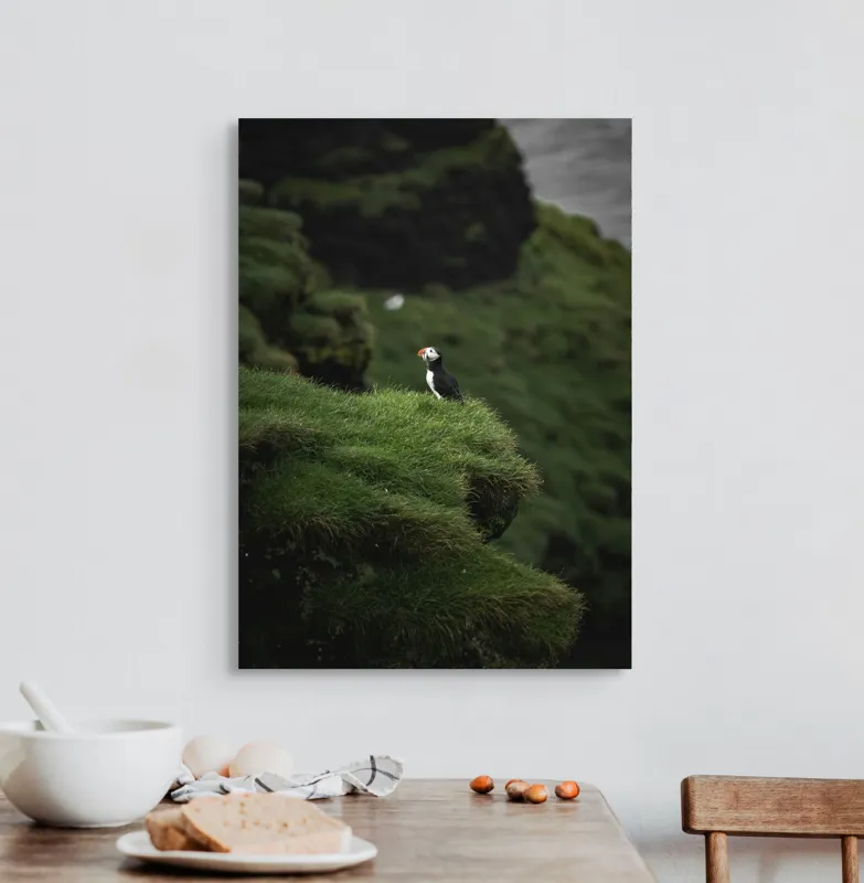Tablou Canvas, "Papagalul de mare pe stâncă verde", Pufin, Stânci, Verdeață, Solitudine, Natură, Ocean, Serenitate, Sălbăticie, 50 x 70 cm – poza 3