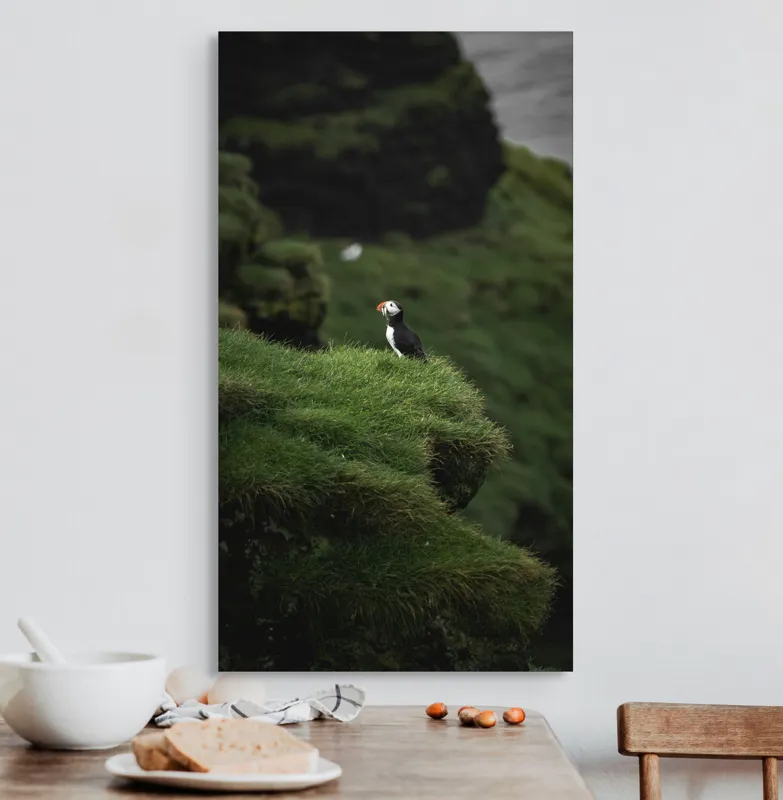 Tablou Canvas, "Papagalul de mare pe stâncă verde", Pufin, Stânci, Verdeață, Solitudine, Natură, Ocean, Serenitate, Sălbăticie, 50 x 90 cm – poza 3