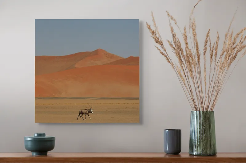 Tablou Canvas, "Oryx singur în deșertul arid", Deșert, Antilopă, Dune, Singurătate, Cer, Ariditate, Natură, Savană., 50 x 50 cm – poza 4