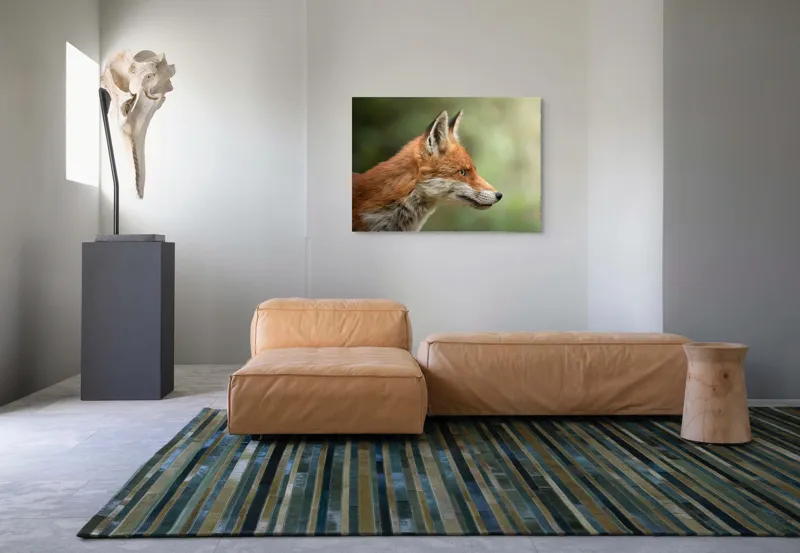 Tablou Canvas, "Vulpea privind orizontul verde", Roșu, Blană, Urechile, Privire, Pădure, Animal, Profil, Veveriță., 100 x 70 cm – poza 7