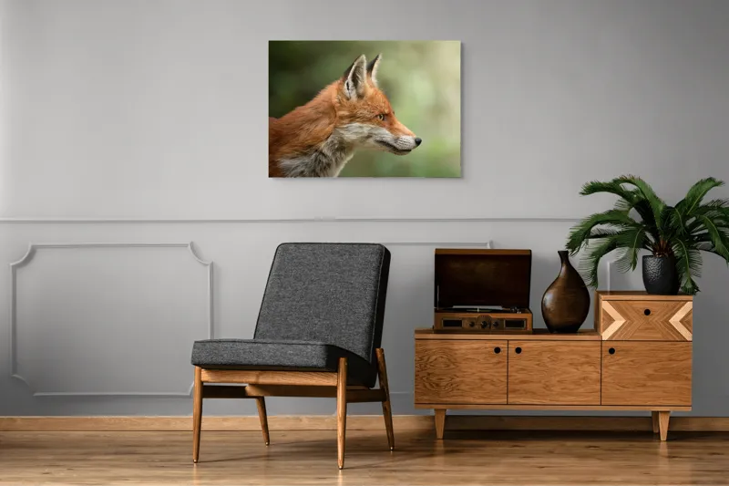 Tablou Canvas, "Vulpea privind orizontul verde", Roșu, Blană, Urechile, Privire, Pădure, Animal, Profil, Veveriță., 100 x 70 cm – poza 8