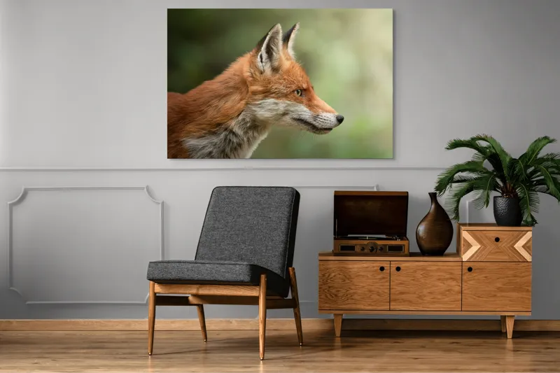 Tablou Canvas, "Vulpea privind orizontul verde", Roșu, Blană, Urechile, Privire, Pădure, Animal, Profil, Veveriță., 150 x 100 cm – poza 8