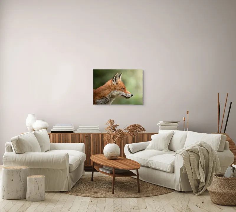 Tablou Canvas, "Vulpea privind orizontul verde", Roșu, Blană, Urechile, Privire, Pădure, Animal, Profil, Veveriță., 70 x 50 cm – poza 6