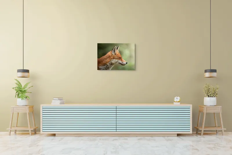 Tablou Canvas, "Vulpea privind orizontul verde", Roșu, Blană, Urechile, Privire, Pădure, Animal, Profil, Veveriță., 70 x 50 cm – poza 7