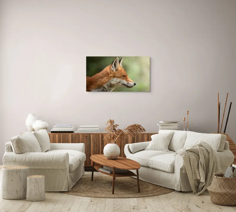 Tablou Canvas, "Vulpea privind orizontul verde", Roșu, Blană, Urechile, Privire, Pădure, Animal, Profil, Veveriță., 90 x 50 cm – poza 4