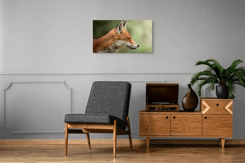 Tablou Canvas, "Vulpea privind orizontul verde", Roșu, Blană, Urechile, Privire, Pădure, Animal, Profil, Veveriță., 90 x 50 cm – poza 6