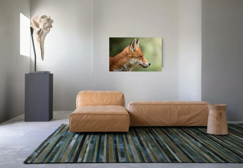 Tablou Canvas, "Vulpea privind orizontul verde", Roșu, Blană, Urechile, Privire, Pădure, Animal, Profil, Veveriță., 90 x 50 cm – poza 8