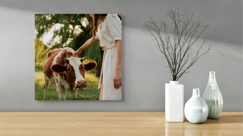 Tablou Canvas, "Nu știu cine este în fotografie.", Nu pot identifica persoanele din imagine, dar pot spune că este o scenă liniștită într-un peisaj rural, cu o vacă și o persoană interacționând., 50 x 50 cm – poza 3