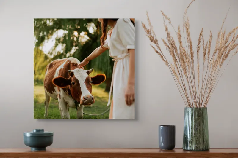 Tablou Canvas, "Nu știu cine este în fotografie.", Nu pot identifica persoanele din imagine, dar pot spune că este o scenă liniștită într-un peisaj rural, cu o vacă și o persoană interacționând., 50 x 50 cm – poza 4