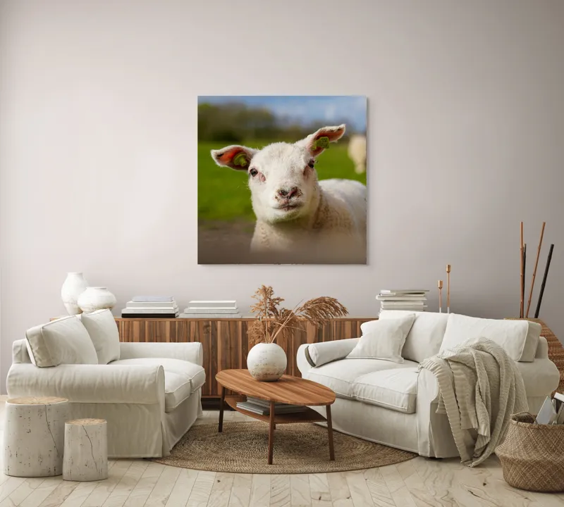 Tablou Canvas, "Miel curios sub cer senin", Blând, Curiozitate, Verdeață, Vânt, Câmpie, Cer, Urechi, Animăluț, Natură, Primăvară, 100 x 100 cm – poza 3