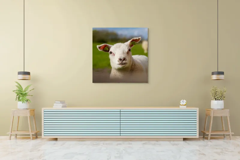 Tablou Canvas, "Miel curios sub cer senin", Blând, Curiozitate, Verdeață, Vânt, Câmpie, Cer, Urechi, Animăluț, Natură, Primăvară, 100 x 100 cm – poza 5