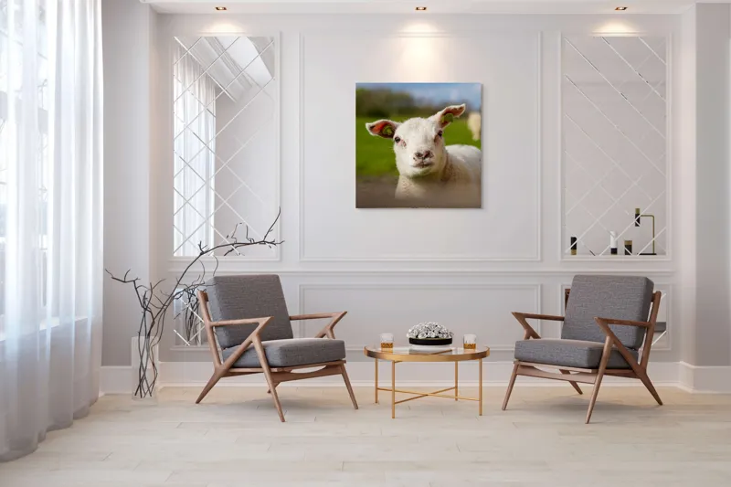 Tablou Canvas, "Miel curios sub cer senin", Blând, Curiozitate, Verdeață, Vânt, Câmpie, Cer, Urechi, Animăluț, Natură, Primăvară, 100 x 100 cm – poza 7