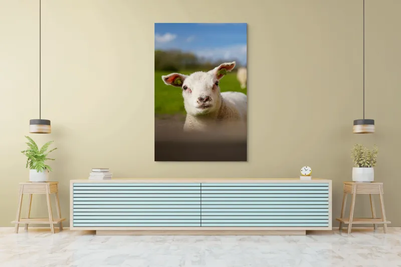 Tablou Canvas, "Miel curios sub cer senin", Blând, Curiozitate, Verdeață, Vânt, Câmpie, Cer, Urechi, Animăluț, Natură, Primăvară, 100 x 150 cm – poza 4