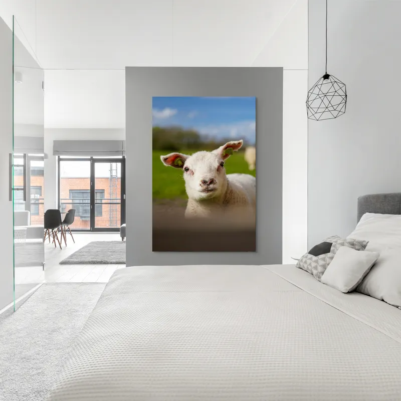 Tablou Canvas, "Miel curios sub cer senin", Blând, Curiozitate, Verdeață, Vânt, Câmpie, Cer, Urechi, Animăluț, Natură, Primăvară, 100 x 150 cm – poza 5