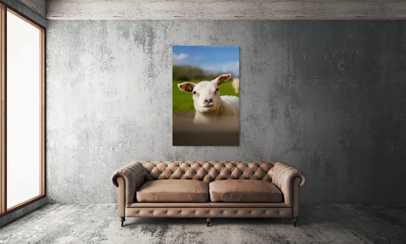 Tablou Canvas, "Miel curios sub cer senin", Blând, Curiozitate, Verdeață, Vânt, Câmpie, Cer, Urechi, Animăluț, Natură, Primăvară, 100 x 150 cm – poza 6